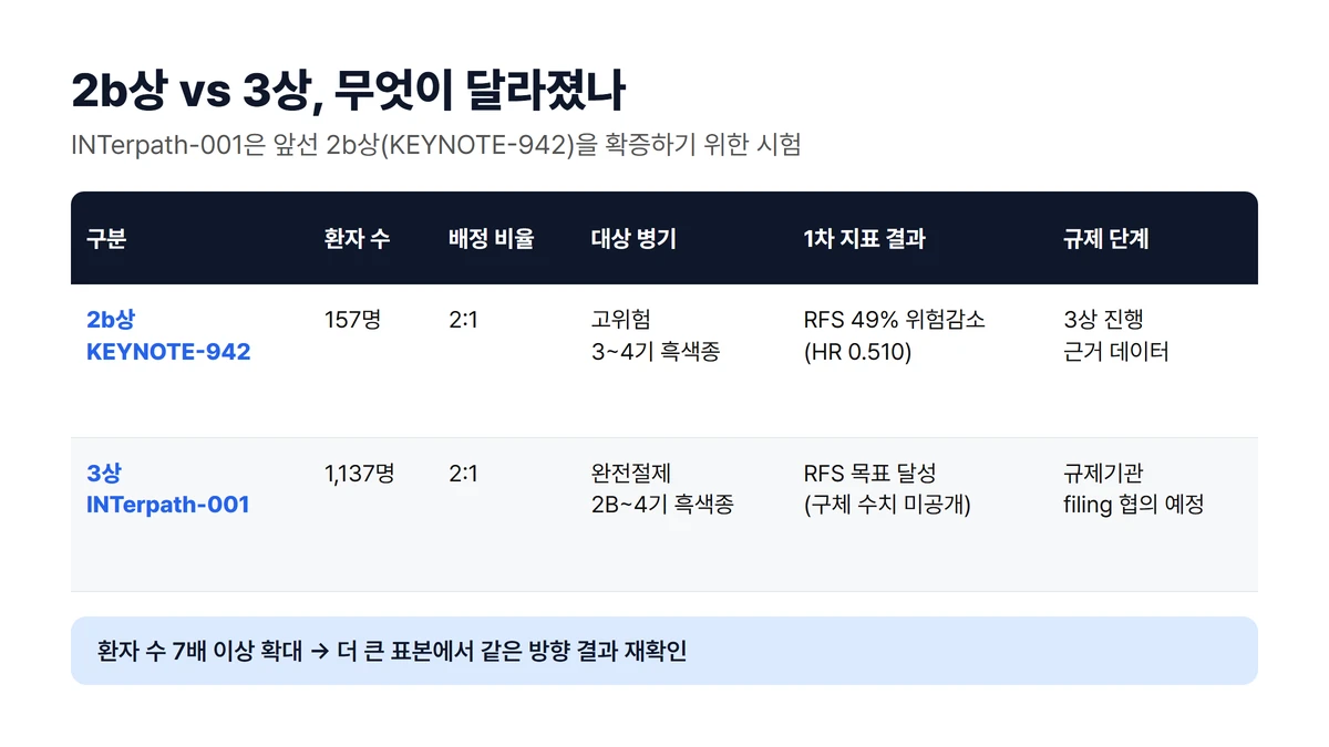 2b상 KEYNOTE-942와 3상 INTerpath-001 비교표: 환자 수, 배정 비율, 대상 병기, 1차 지표 결과, 규제 단계 비교