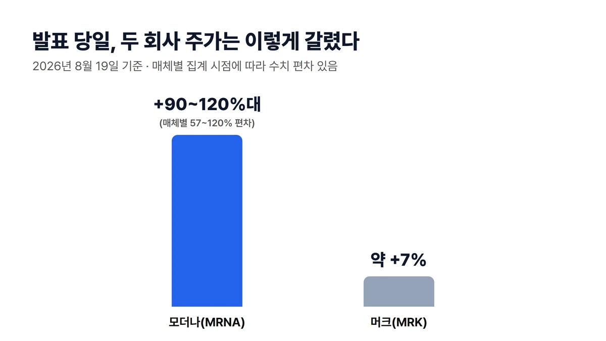 2026년 8월 19일 발표 당일 모더나와 머크 주가 등락률 비교 막대그래프, 모더나 약 90~120%대 매체별 편차 있음, 머크 약 7% 상승